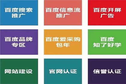 竞价广告的投放策略与网络推广的实践案例